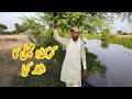 Fishing hunting in punjab village pakistan  incredible fish hunting in canal  muhammad waqas tech