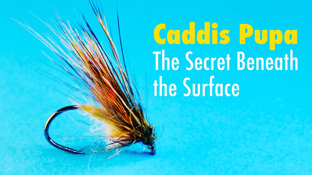 Caddis pupa: Tajomstvo pod hladinou