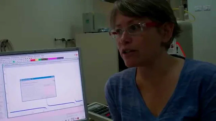 8. processing - "lesson 1" NMR training