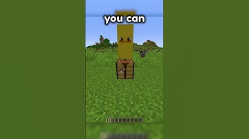 JAVA-FUNCTIES KOMEN NAAR BEDROCK!