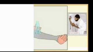 Wudu / Ablution Guide