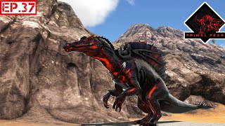 Ark :survival evolved 🔥 Chaos Spino Taming 🔥 Primal Fear  EP.37