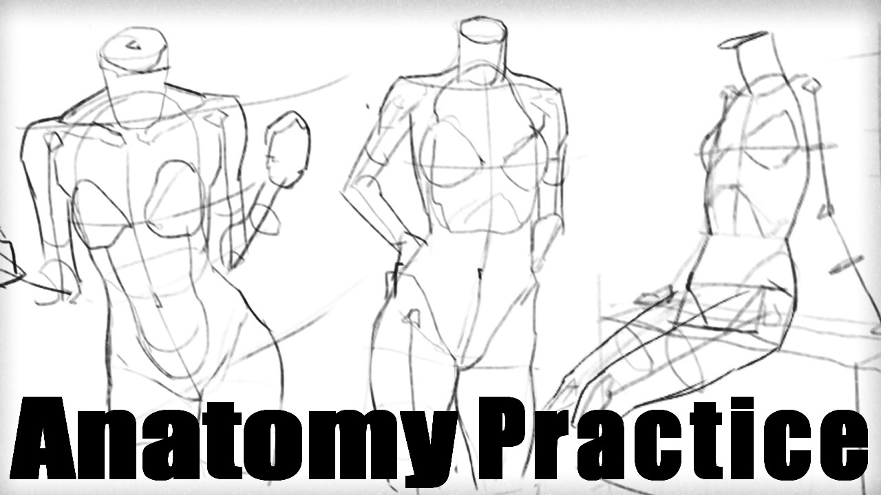 quick posing + anatomy practice - YouTube