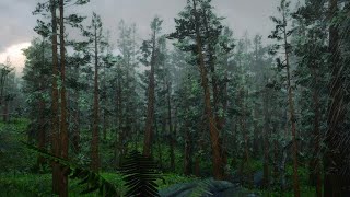 6 Hours of Heavy Rain and Thunderstorm in Forest | Relaxing Rain Sounds for Sleep & Deep Relaxation