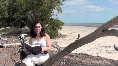 Workbook Lesson 62 from A Course in Miracles with Amy Torres