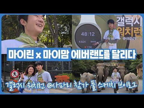 마이린 x 마이맘 ♡ 아침 7시에 에버랜드 사파리를 달려보았습니다 (갤럭시 워치런 사파리 풀 스케치 브이로그)  | 마이린 TV
