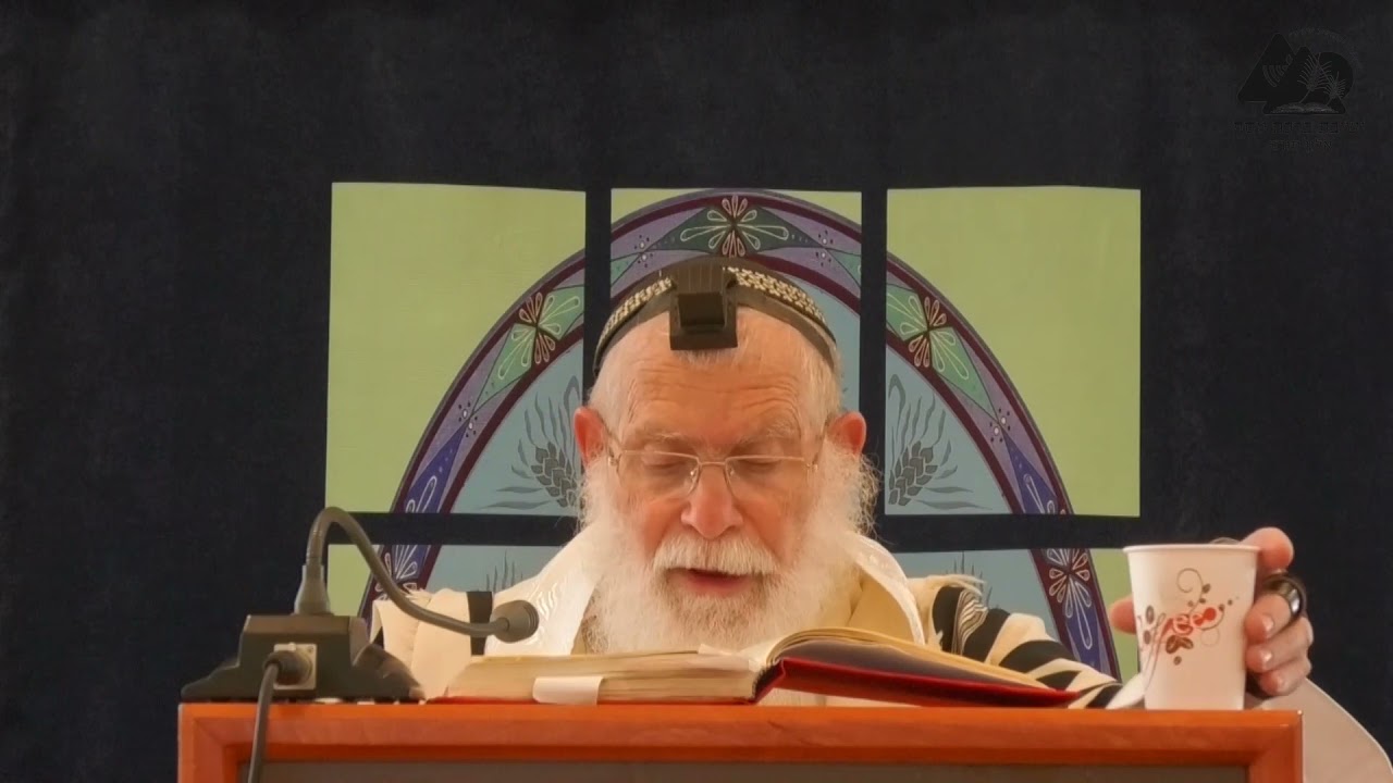 השמש בין הנרות | הרב אליקים לבנון | הלכות חנוכה תשפ"ב | 5