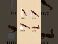 How to do pushups step by step📌#fitness #workout #pushups #viral #pushupsforbeginners #share #shorts