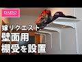 【ダイソー購入品 #02】嫁リクエスト！100均 壁面用棚受を廊下に設置