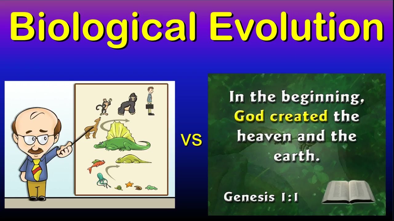 5) Creation vs. Evolution,  Biological Evolution