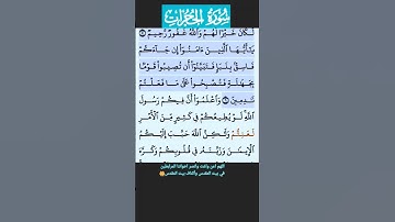 سورة الحجرات 4-6 ({ إن الذين ينادونك }) فارس عباد