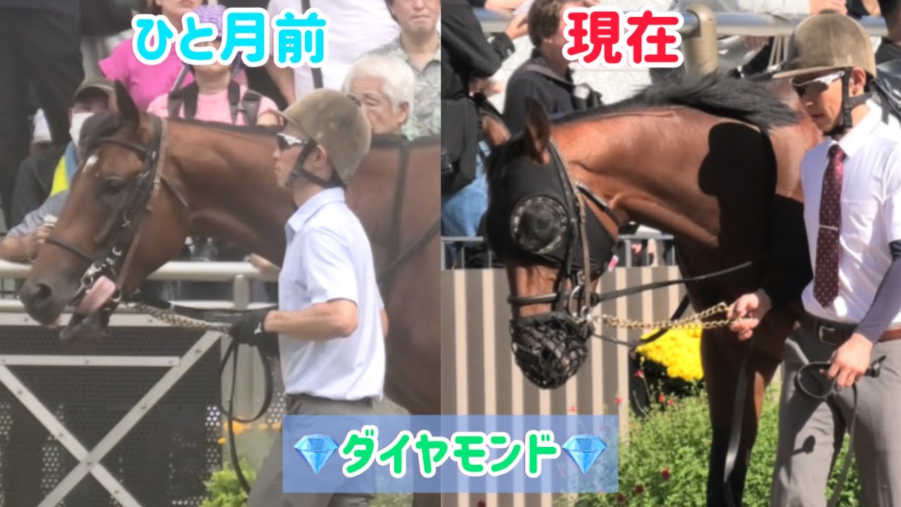 懐かしの名機再発見！NV-MX1000で甦る思い出の映像 あの感動をもう一度