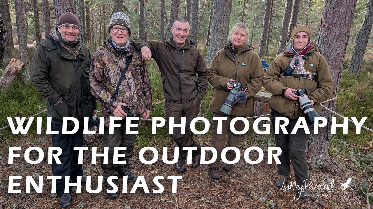 Scottish Highlands Winter Wildlife | Red Deer, Snow Buntings & Extreme Weather