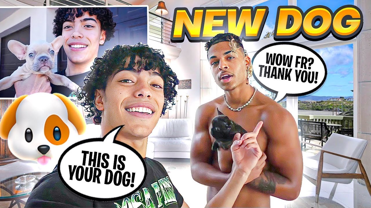 Сюрприз от PrettyBoiballo: щенок!! + У меня тоже появился свой 🥺🐶