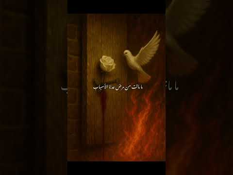 زهراء ماتت غدر من عصرة باب ستوريات استشهاد السيدة فاطمة الزهراء فاطمة الزهراء