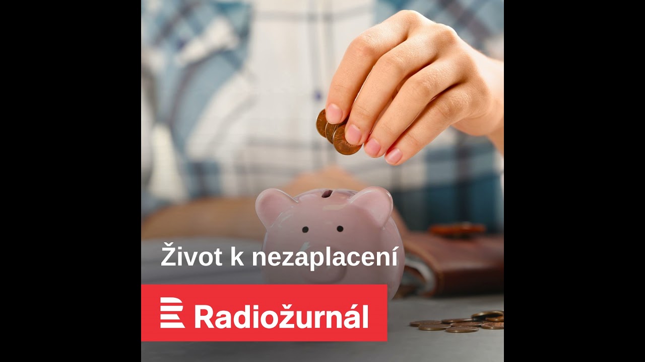Asistence pokrývá jen sedminu péče. „Na služby by měl existovat nárok,“ myslí si Prokop