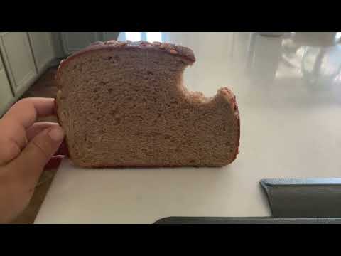 Falling bread to 100 subs day 31