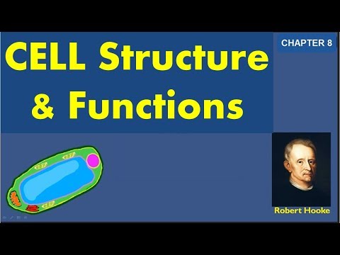 Cell structure and