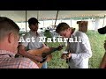 Bluegrass jam with mo pitney act naturally