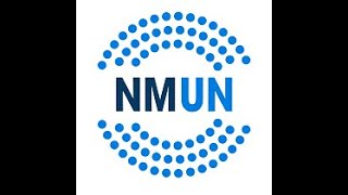 NMUN Rules Training Video