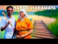 Bishaan Haramaaya Haala Inni Keessa Jiru 