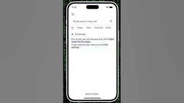 AI legt dingen verkeerd uit - 🔥-16 Waarom zijn brandweerwagens rood?