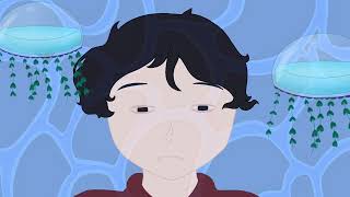 Animation dump (2019-2021)