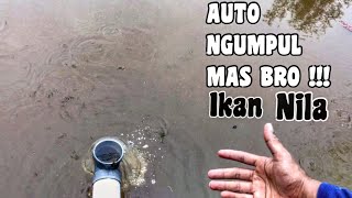 Cara Membuat Aliran Oksigen Untuk Kolam Ikan Nila