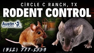 Circle C Ranch, Austin, TX Rodent Control Services (512) 777-1339