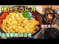 北海道でうにを食べるならここ！積丹のお食事処みさきで食べた生うに丼と活うにが凄かった！