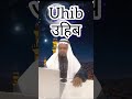 How to say I Love in Arabic| Learn Arabic Words in Hindi Urdu English Everyday #onlinearabiccourses