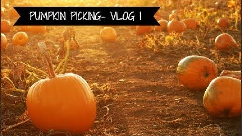 Vlog 1- Pumpkin Picking