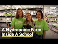 NYC School Uses Hydroponic Farm to Make Healthy School Lunches | One Small Step | NowThis