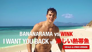 Bananarama vs WINK - I Want You Back vs 淋しい熱帯魚 (The Pietro Boselli Remix) (Vocals & Lyrics Version)