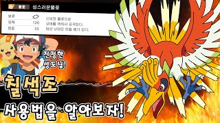 23년만에 1티어! 최전성기를 맞이한 진정한 성도님 칠색조 사용법을 알아보자 [포켓몬스터 소드 실드]