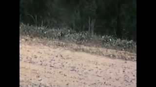 Trimble Cullman County Alabama