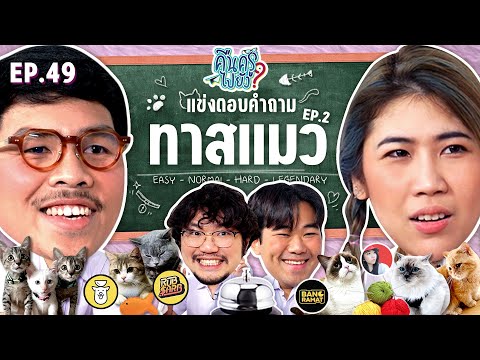 วีดีโอ: ค้นพบชีวิตลับของสุนัขในหมวก