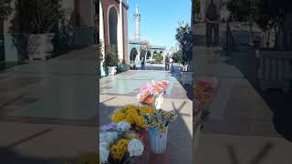 دعای فرج با صدای علی فانی🙏📿دعاء فرج بصوت علي فاني