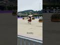 Scott Brash showing us how it‘s done at the Longines FEI Jumping European Championship 2025 👀