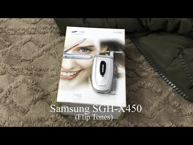 Samsung SGH-X450 - Flip Tones class=
