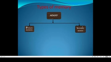 Computer---Chapter 1-Storage And Memory Device---Computer Memory (Part 2)-Class 4 - Montfort School