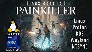 Painkiller with an Intel Arc A750 on a Linux CachyOS PC System.