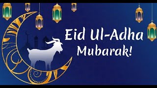 Eid Mubarak Wishes | Eid Mubarak WhatsApp Status 2022 | New Eid Ul Adha 2022 | Happy Eid screenshot 2