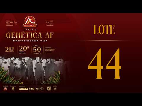 LOTE 44 ARFS  280
