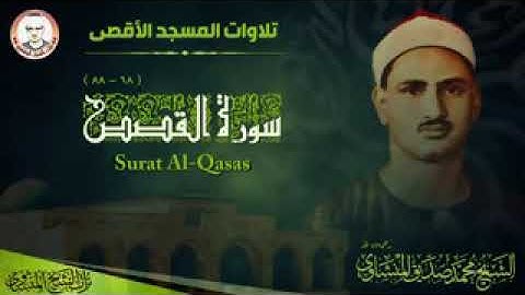 الشيخ محمد صديق المنشاوي سورة القصص
