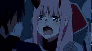 chaccaron in the franxx