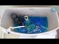 How To Fix A Leaky Toilet How To Fix A Leaky Toilet