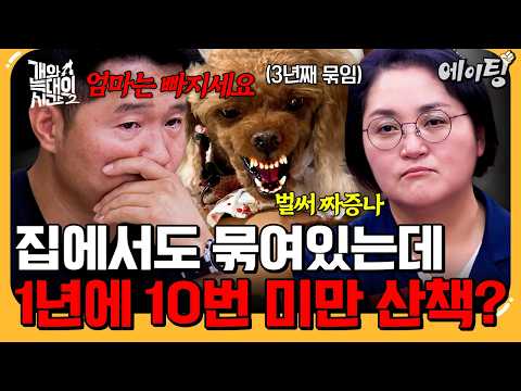 [#A-Ting] "He doesn't go for walks." Tied up at home for 3 years, and he gets walked less than 10...