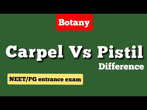 #Difference between carpel and Pistil | Botany | Easy Explanation.