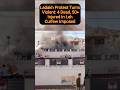 Ladakh Protest Turns Violent: 4 Dead, 50+ Injured in Leh | Curfew Imposed